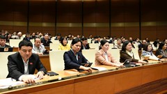 Quốc hội thông qua Luật Tổ chức Chính phủ (sửa đổi)