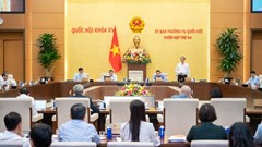 Cần sớm ban hành quy định về đào tạo nghệ thuật đặc thù để tránh đứt gãy nguồn nhân lực