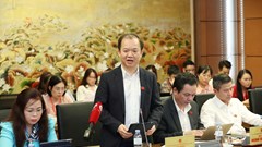 Khơi dậy nội lực văn hóa trong phát triển bền vững từ gốc