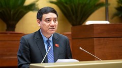 Hoàn thiện khung pháp lý quản lý hoạt động quảng cáo, đáp ứng yêu cầu hiện tại