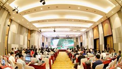 Ra mắt Giải bóng đá 7 người vô địch quốc gia 2025