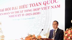 Ông Ngô Đức Quỳnh tái đắc cử Chủ tịch Liên đoàn Võ thuật tổng hợp Việt Nam nhiệm kỳ II