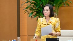 Hướng dẫn tổ chức, hoạt động của Đoàn ĐBQH và HĐND các cấp sau sắp xếp đơn vị hành chính