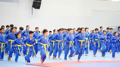 Khơi dậy niềm tự hào võ Việt