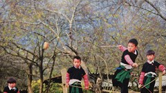 Giới thiệu hình ảnh đất nước, con người và văn hoá Việt Nam