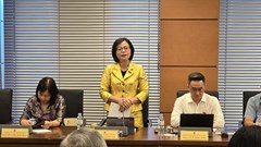 Đại biểu Quốc hội đánh giá cao thành tựu trong lĩnh vực Văn hoá và Thể thao
