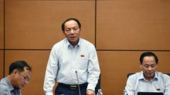 Nền tảng cho sự phát triển bền vững