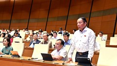 Văn hóa đã được xác định là sức mạnh nội sinh, hệ điều tiết của sự phát triển bền vững