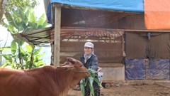 Chính sách hỗ trợ sinh kế và an sinh xã hội – điểm tựa để người dân thoát nghèo