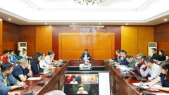 Thể thao Việt Nam vượt khó, phấn đấu đoạt 100 HCV chào mừng Đại hội Đảng