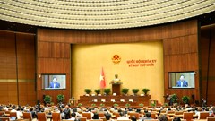 Cần xây dựng phương án bảo tồn chi tiết, tránh biến dạng di tích