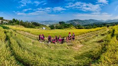 Thái Nguyên phấn đấu đến năm 2030 mỗi năm giảm 1–1,5% hộ nghèo