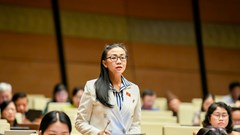 Đại biểu Quốc hội đề nghị bảo vệ nguồn thu và thương hiệu báo chí  trên môi trường số