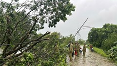 Bão số 5: Hơn 330.000 hộ dân ở Thanh Hoá mất điện, lực lượng điện lực gồng mình khắc phục