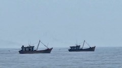 Tàu giã cào “càn quét” ven biển Quảng Bình (Thanh Hóa): Ngư dân lao đao, biển cạn kiệt