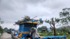 Xã Quảng Bình (Thanh Hoá): Sơ tán hơn 200 người dân ven biển tránh bão số 10