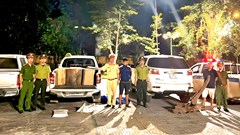 Thanh Hóa: Phát hiện xe tải chở gỗ lậu trên quốc lộ 217