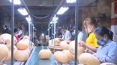 “Vàng xanh” xứ Thanh: Từ sản xuất thô đến chuỗi giá trị xuất khẩu