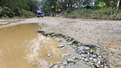 Phó Chủ tịch UBND tỉnh Thanh Hóa chỉ đạo kiểm tra nội dung Báo Văn Hóa phản ánh