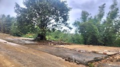 Thanh Hóa khẩn trương chỉnh trang Di tích khởi nghĩa Bà Triệu, đón khách từ 19.1