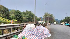 Thanh Hóa yêu cầu rà soát toàn diện quy hoạch các dự án xử lý rác thải