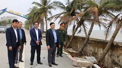 Kè biển Hải Tiến sạt lở nghiêm trọng, tỉnh Thanh Hóa yêu cầu xử lý khẩn cấp
