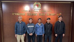 Khởi tố đường dây mua bán lợn nhiễm dịch tả châu Phi ở Thanh Hóa