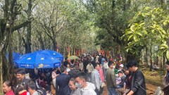 “Lên rừng, xuống biển” – mạch nguồn du xuân xứ Thanh