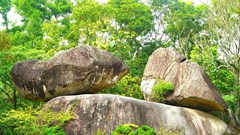 Hòn Trống Mái – mối tình hóa đá giữa trời biển Sầm Sơn