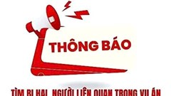 Thanh Hóa tìm bị hại trong vụ chiếm đoạt tài sản qua mạng liên quan nhiều doanh nghiệp
