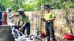 Liều mình vào rừng săn “muội hồng”, hàng chục vụ vi phạm bị xử lý