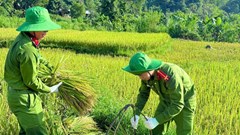 Xúc động màu áo công an xuống đồng giúp dân chạy mùa giữa nắng gắt