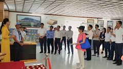 Hàng trăm nghìn hiện vật và bài toán bảo quản ở Thành nhà Hồ