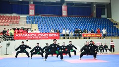 Hơn 700 tài năng trẻ hội tụ, giữ lửa võ học dân tộc