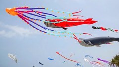 Festival Diều Sầm Sơn có gì đặc biệt trước giờ khai hội?