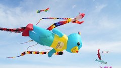 Du khách bất ngờ trước “con vật khổng lồ” trên biển Sầm Sơn