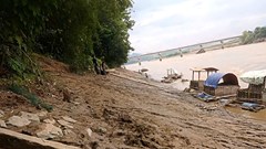 Hàng tấn cá chết sau khi mực nước sông Mã bất ngờ giảm sâu