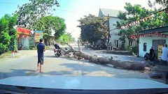Cây xà cừ bất ngờ đổ, đè trúng người đi xe máy tử vong
