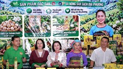 Đặc sản xứ Thanh “lên sóng”: Cơ hội bán hàng vượt khỏi lũy tre làng
