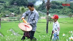 Kỳ 1 - Khi mầm chữ trổ bông trên nương đá Bản Tèn