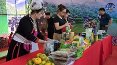 Quảng bá văn hóa truyền thống và sản phẩm OCOP của các địa phương 