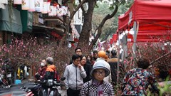 “Sống chậm” ở chợ hoa Hàng Lược 