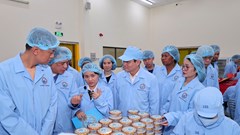 Quảng bá Yến sào Khánh Hòa với bạn bè quốc tế