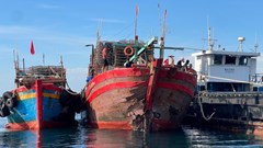 Tàu hàng va chạm với tàu cá, 8 ngư dân được bạn thuyền cứu sống