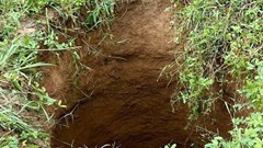 Xuất hiện 2 hố sụt lún nguy hiểm tại vườn nhà dân