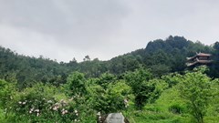 Phu nhân Đại tướng Võ Nguyên Giáp sẽ được an táng tại Vũng Chùa - Đảo Yến