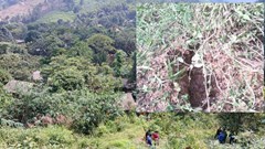 Xuất hiện vết nứt có nguy cơ sạt lở đồi uy hiếp 13 hộ đồng bào dân tộc