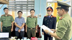 Khởi tố 11 cán bộ liên quan đến đại án cây xanh