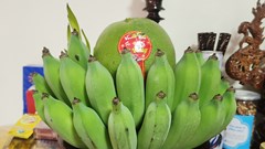Nải chuối ngày Tết với ước vọng sum vầy…