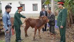 Tặng bò sinh kế cho 10 gia đình 'tân binh' có hoàn cảnh khó khăn